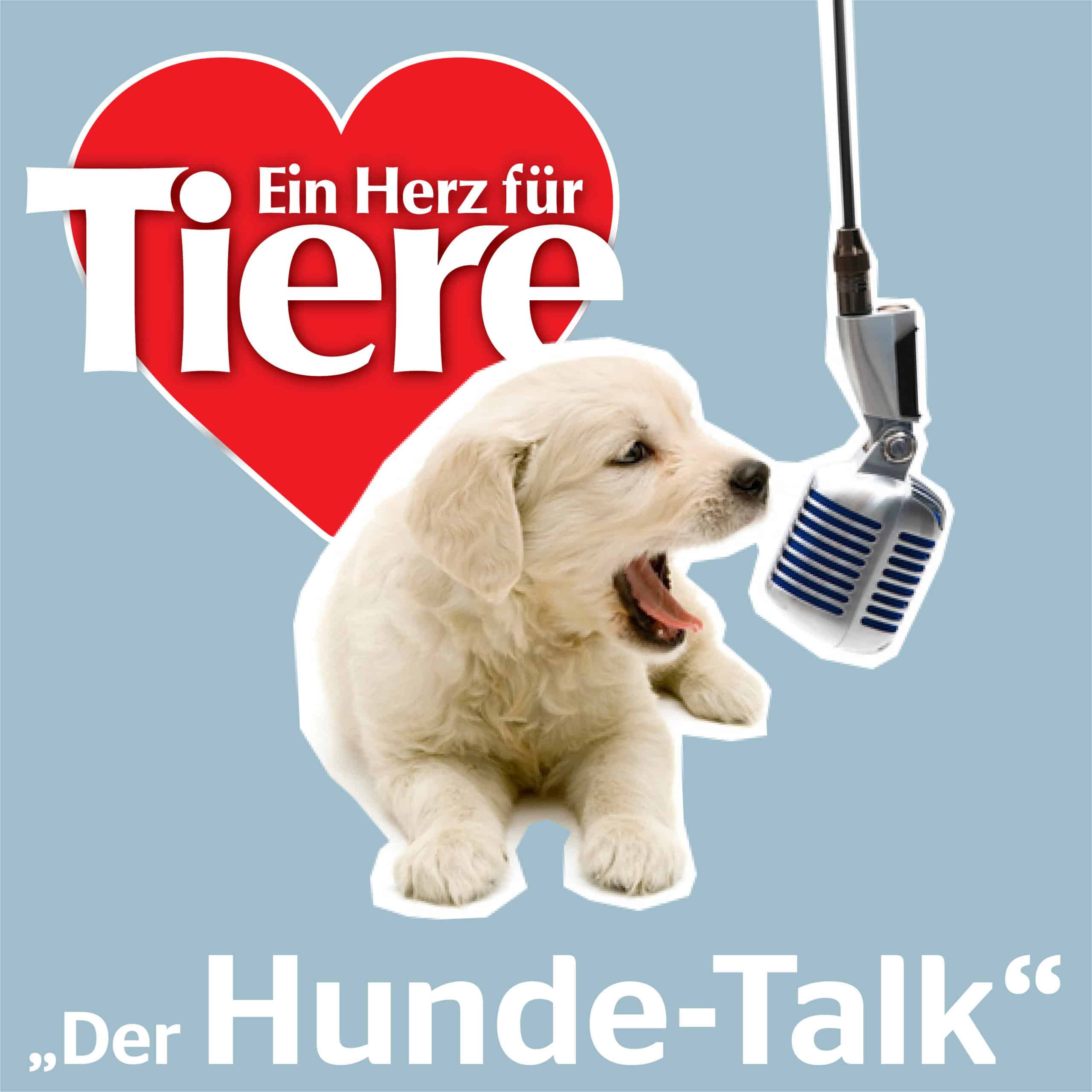 HundeTalk Podcast von ein Herz für Tiere Napfcheck
